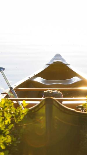 seo网站外链工具截图2