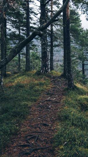 深圳seo博客截图2