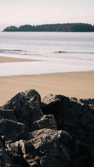 蜘蛛池最怕什么虫截图3