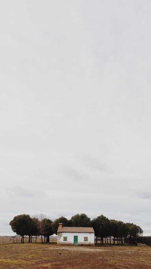 湖北网站建设截图1