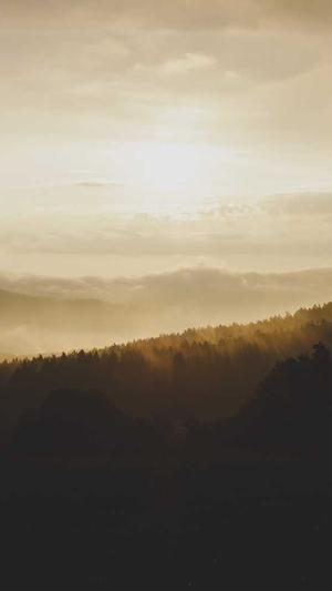 淘宝seo推广工具截图2