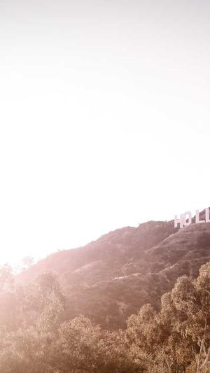 小旋风蜘蛛池视频截图3