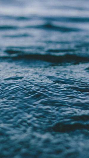 聚合泛目录v5站群截图1