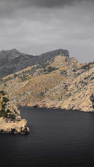 泛目录收录问题截图3