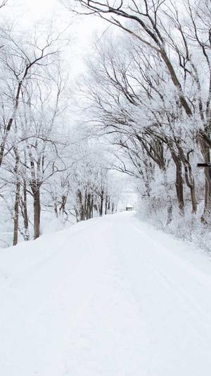 昆明网站建设一条龙截图4
