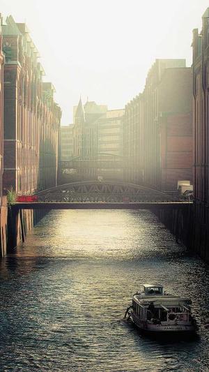 超级蜘蛛池最新版下载截图3