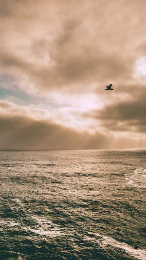 蜘蛛池的蜘蛛蛋截图4