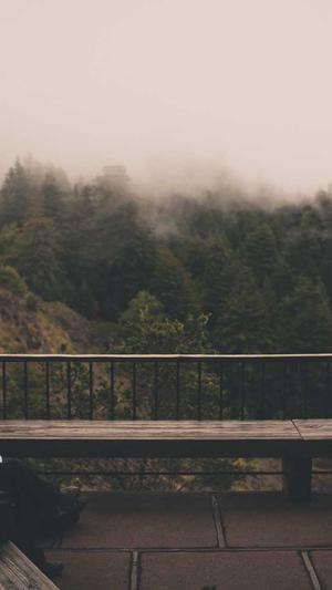 seo查询工具使用教程截图5