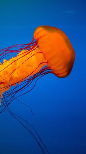 佛山网站建设佛山网络推广截图5