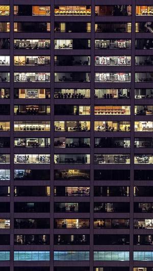 泛目录解析站群视频站截图5