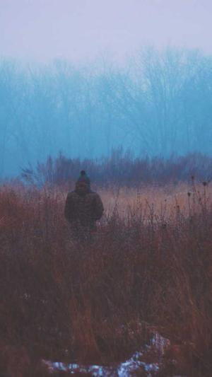 蜘蛛池创建教程视频截图5