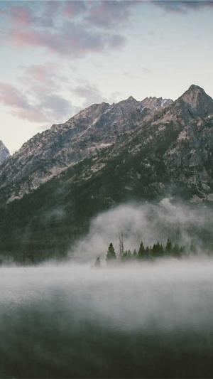 seo站长工具5118截图4