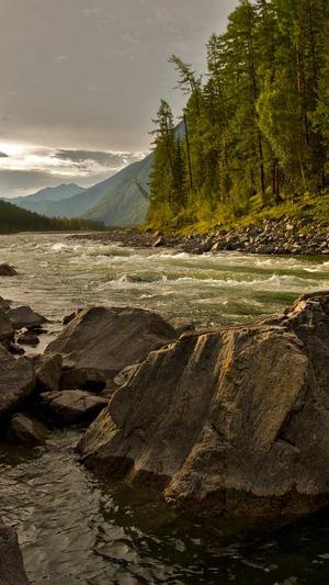 湖北网站建设截图2