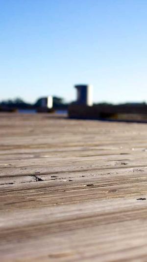 seo服务赚钱截图2