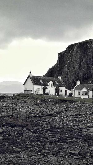 谷歌seo工具截图3