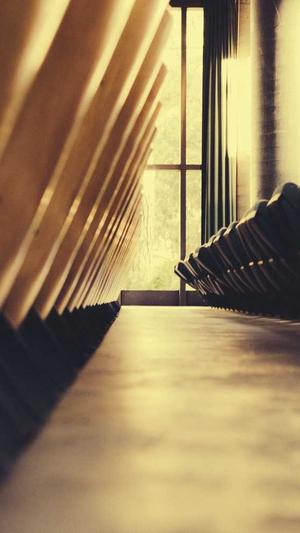 蜘蛛池能做徽ahuaseσ截图5