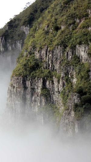 seo刷快排工具截图1